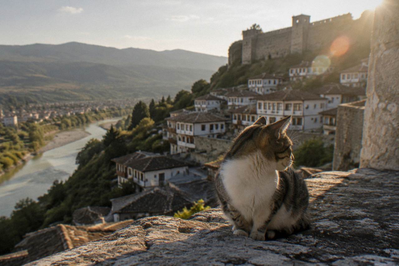 Ottoman-era houses stacked on a hillside above a river in Berat