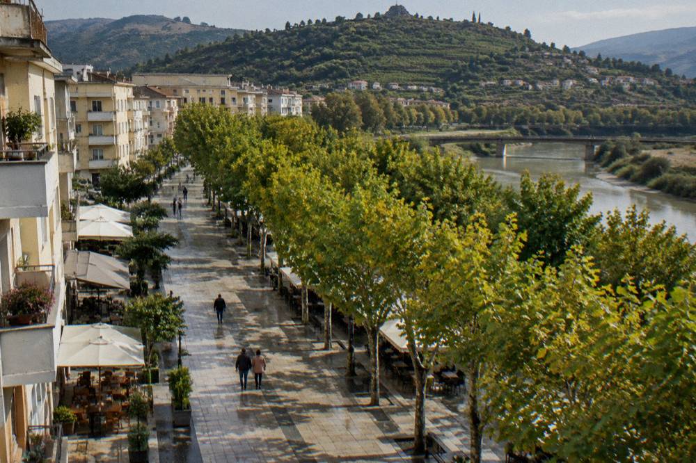Rows of grapevines on hillsides above a river valley