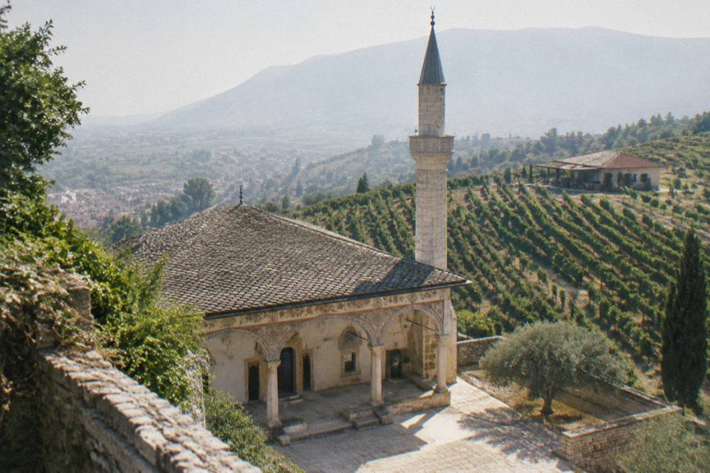 Rows of grapevines on a hillside with a small winery building and mountains behind