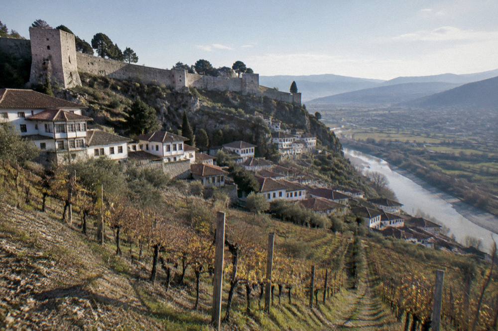 Rows of grapevines on hillsides at a winery near Berat