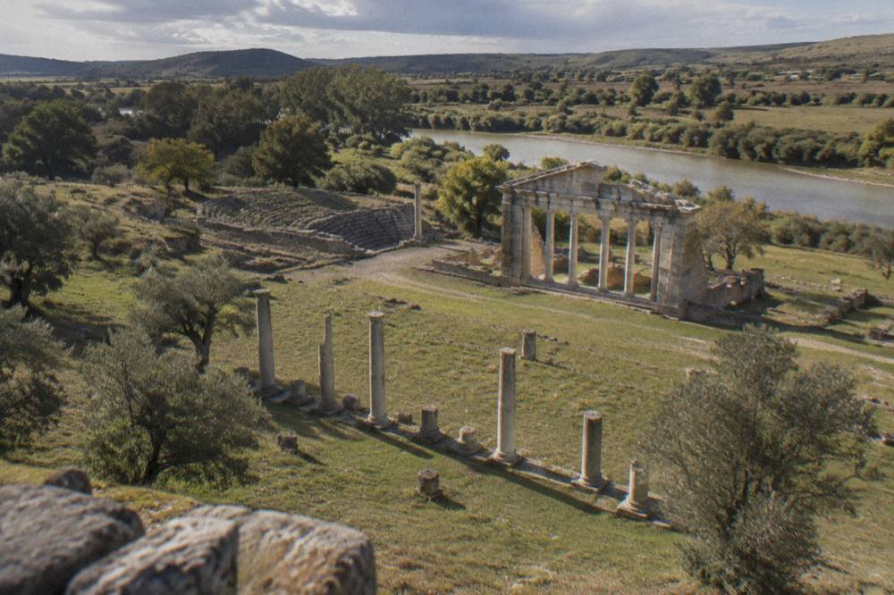 Rows of broken stone columns standing in open grass among olive trees