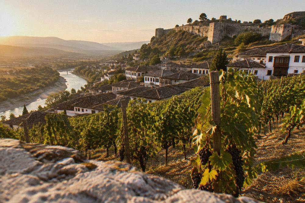 Vineyard rows on a hillside above the Ottoman rooftops of Berat in central Albania