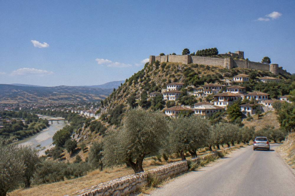 Olive trees and dry golden hills on the road south of Berat under a wide sky