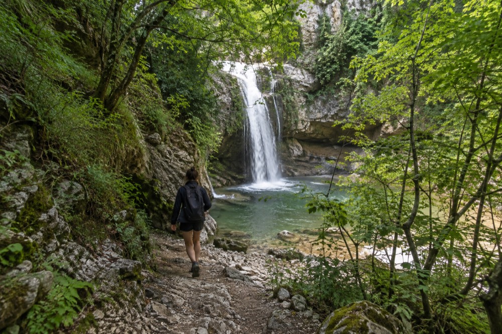 Forest trail leading toward a waterfall pool in a green gorge